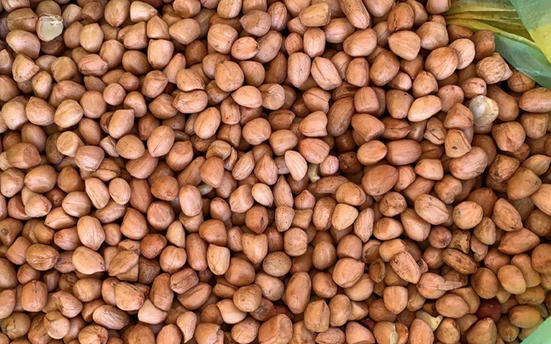 Peanuts